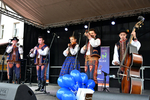 11piknikkdn17.jpg