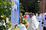 37bozecialo19.jpg