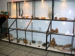 Nazwa pliku=muzeum07.jpg
Wielkość pliku=91KiB
Rozmiar=690x518
Data dodania= 19, Lipiec 2010 muzeum07.jpg