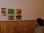 spotml29.jpg